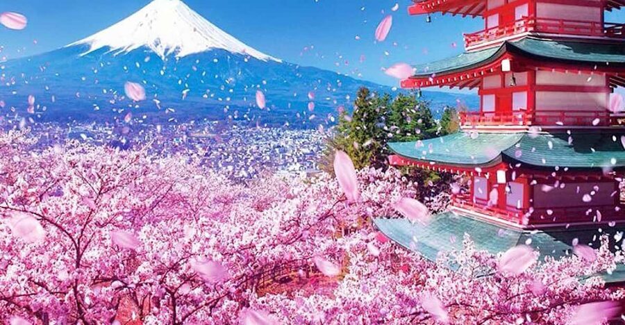 Tokyo: Private Mount Fuji and Hakone Day Trip with Guide - Chureito Pagoda and the Classic Fuji View