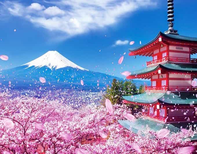 Tokyo: Private Mount Fuji and Hakone Day Trip with Guide - Oshino Hakkai and the First Fuji Views
