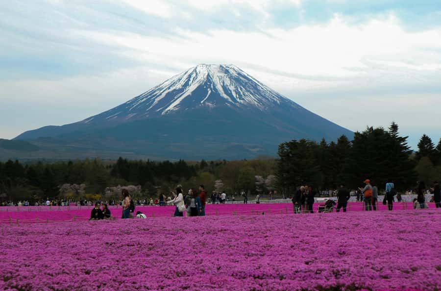 Tokyo: Private Mount Fuji Tour with Pickup and Drop-Off - A private route from Tokyo to Mount Fuji