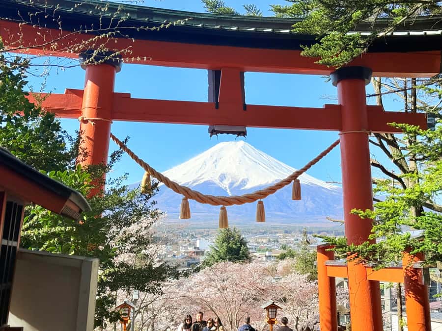 Tokyo: Private Mount Fuji Tour with Pickup and Drop-Off - Oshino Hakkai’s springs and old-style houses