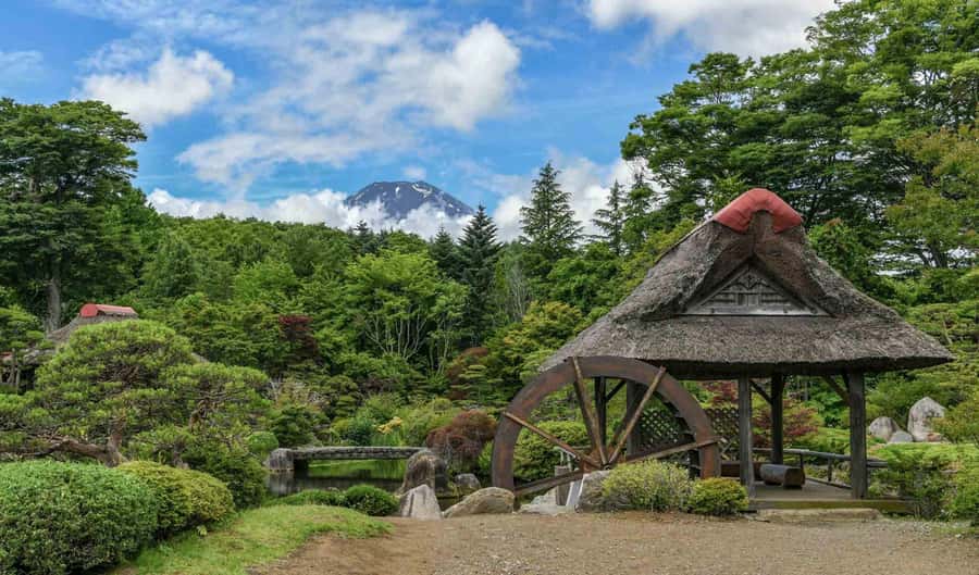 Tokyo: Private Mount Fuji Tour with Pickup and Drop-Off - The value of $350 for up to five people