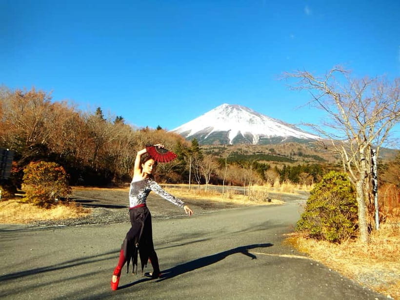 Tokyo: Private Mt. Fuji Luxury Day Tour – Fully Customizable - Key points to know before booking