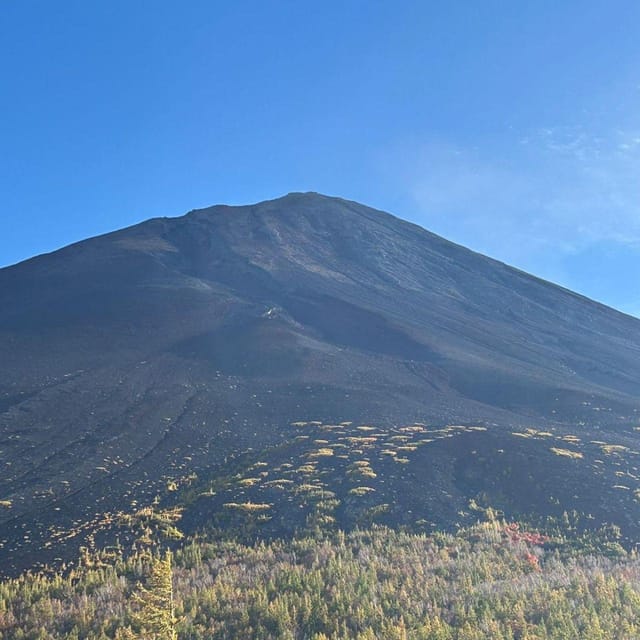 Tokyo: Private Mt. Fuji Luxury Day Tour – Fully Customizable - Adding Narusawa Ice Cave or Saiko Iyashi-no-Sato