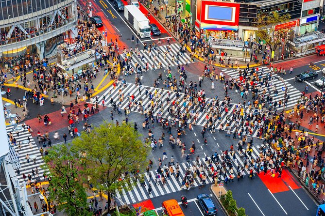 Tokyo Private Sightseeing Tour by Car- English speaking chauffeur - The Imperial Palace and central Tokyo