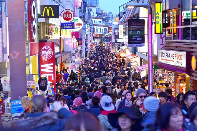 Tokyo Private Sightseeing Tour by Car- English speaking chauffeur - Tokyo Skytree and Tokyo Tower