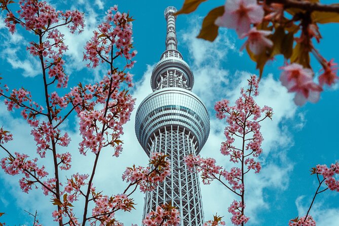 Tokyo Private Sightseeing Tour by Car- English speaking chauffeur - Shibuya Crossing and the final city scenes