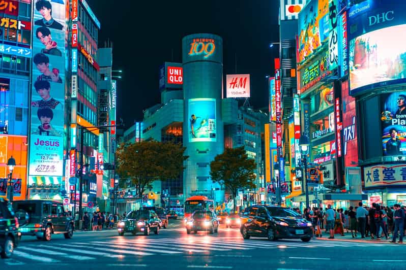 Tokyo: Private Tailored Tour with a Local Guide - A private way to get your Tokyo bearings