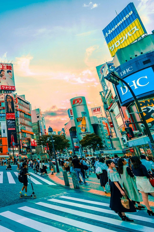 Tokyo: Private Tailored Tour with a Local Guide - Meiji Shrine and the calm of the forest paths
