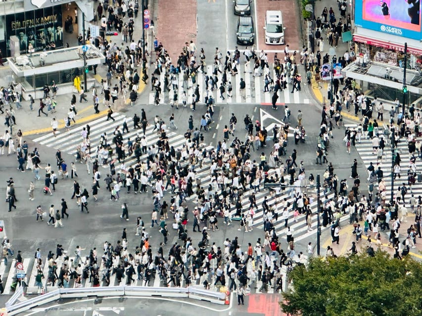 Tokyo: Private Tailored Tour with a Local Guide - Takeshita Street and Harajuku’s young style