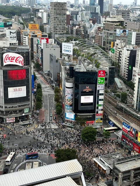 Tokyo: Private Tailored Tour with a Local Guide - Shibuya Crossing and the Hachiko statue