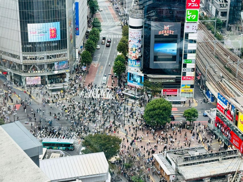 Tokyo: Private Tailored Tour with a Local Guide - Shinjuku views and Omoide Yokocho
