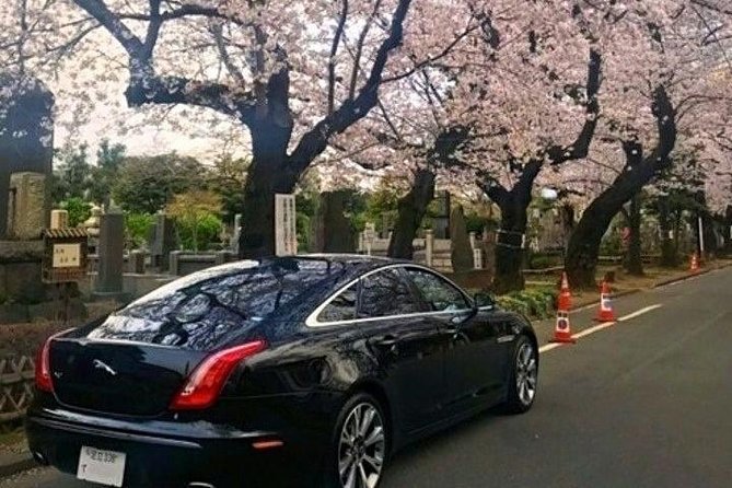 Tokyo Private Tour by Vehicle with English-Speaking Chauffeur - Why a private car helps in sprawling Tokyo