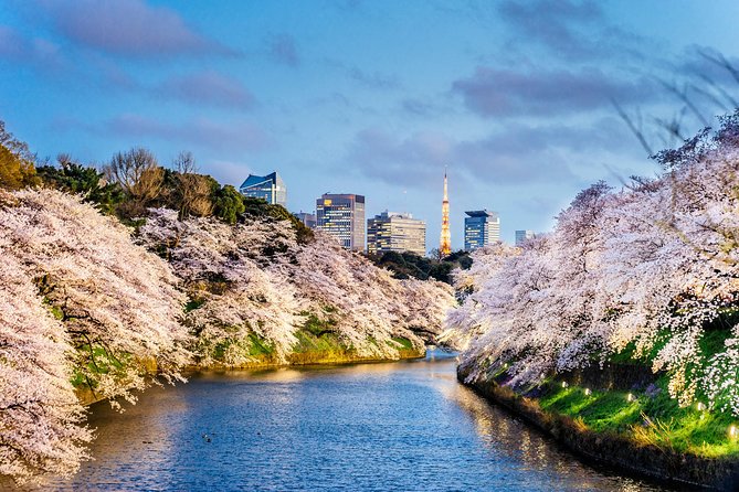 Tokyo Private Tour by Vehicle with English-Speaking Chauffeur - Tokyo Skytree: a high view with an extra ticket