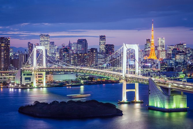 Tokyo Private Tour by Vehicle with English-Speaking Chauffeur - Tsukiji Outer Market: make lunch part of the plan