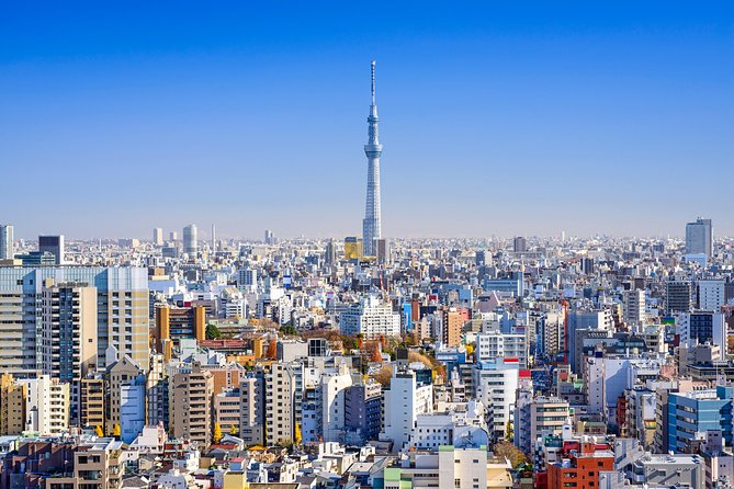Tokyo Private Tour by Vehicle with English-Speaking Chauffeur - Meiji Jingu: forest paths beside modern Harajuku