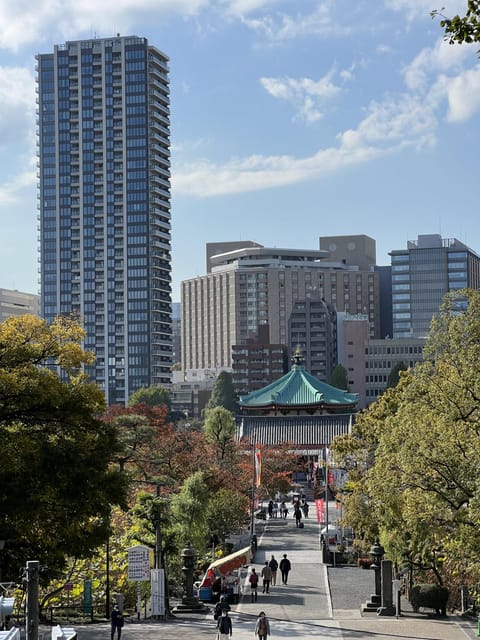 TOKYO Private visit guide Speaking French - A private start to Tokyo with French-speaking help