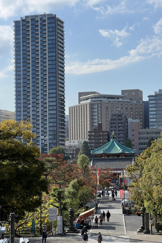 TOKYO Private visit guide Speaking French - Price, group size, and overall value
