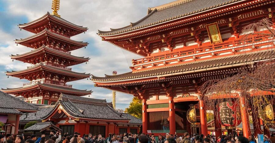 Tokyo: Private Walking Tour with a Local Guide - What makes this Tokyo tour worth considering