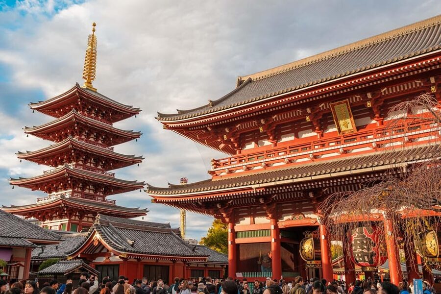 Tokyo: Private Walking Tour with a Local Guide - Ueno and Ameya-Yokocho: markets, food, and everyday Tokyo