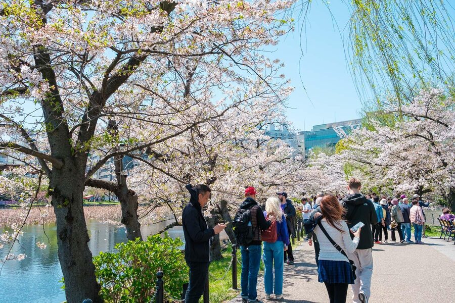 Tokyo: Private Walking Tour with a Local Guide - Akihabara: Tokyo’s electronic and pop-culture side
