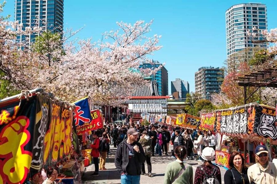 Tokyo: Private Walking Tour with a Local Guide - Meiji Shrine: a calmer pause in the city