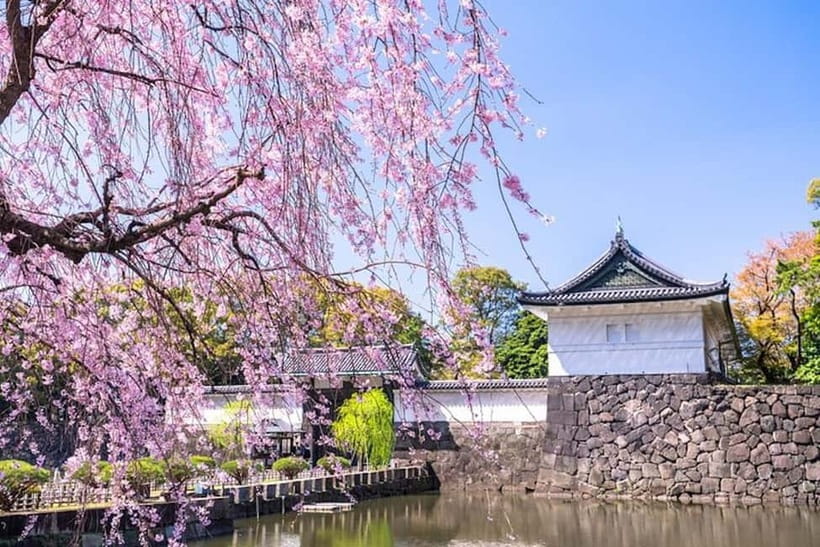 Tokyo: Pvt. Tour - Edo Castle & Imperial Palace East Gardens - Why Edo Castle matters in modern Tokyo
