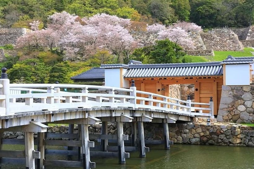 Tokyo: Pvt. Tour - Edo Castle & Imperial Palace East Gardens - Edo Castle ruins, stone walls, and the keep site