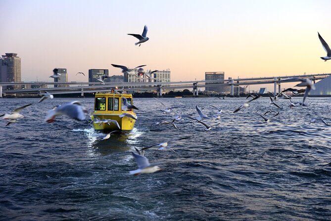 Tokyo: Scenic Bay Cruise with Local Guide on Private Boat - Is $38 good value?