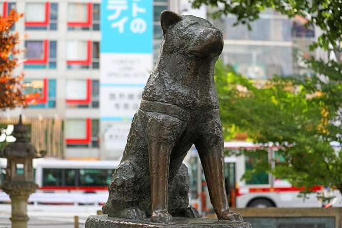 Tokyo: Shibuya Highlights Walking Tour & Secret View Spot - Shibuya Crossing from two angles
