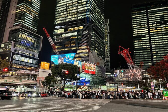 Tokyo: Shibuya Highlights Walking Tour & Secret View Spot - Hachiko and the first look at Shibuya