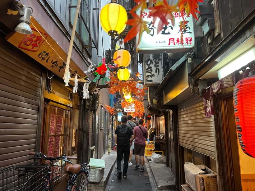 Tokyo: Shinjuku Food Tour (15 Dishes and 4 Eateries) - Kabukicho: neon, nightlife, and a different side of Tokyo