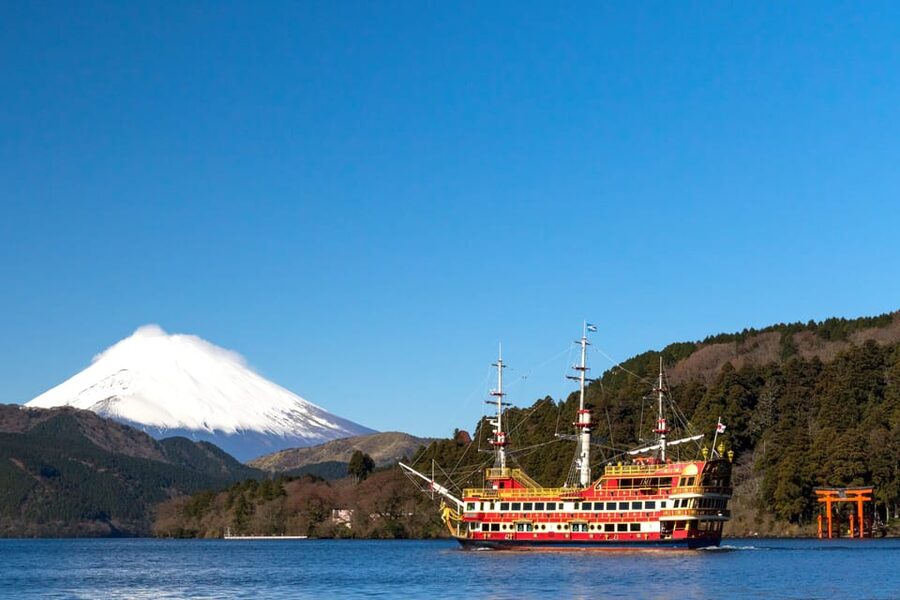 Tokyo: Spring Hitachi Seaside & Ashikaga Flower Park Tour - Who will enjoy this tour most
