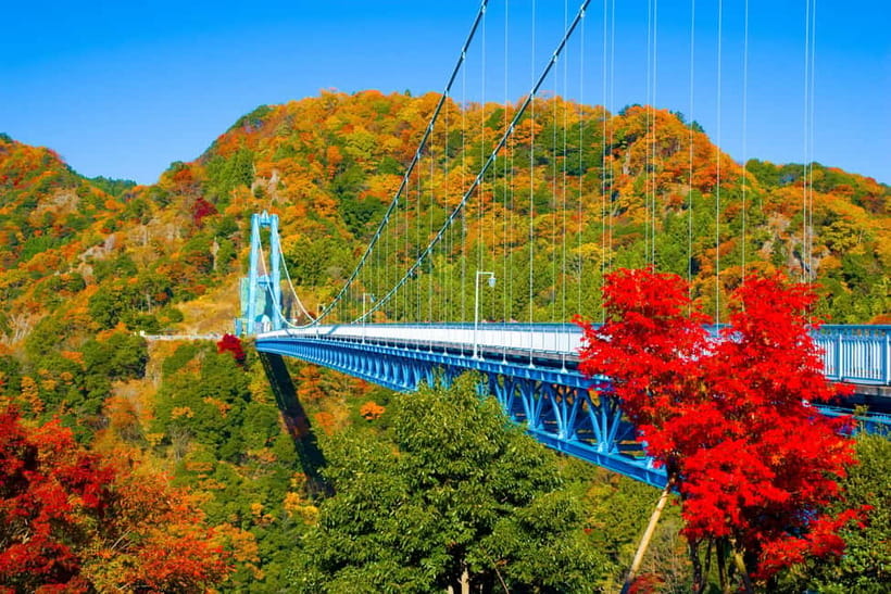 Tokyo: Spring Hitachi Seaside & Ashikaga Flower Park Tour - Miharashi Hill and Hitachi’s sea of blue