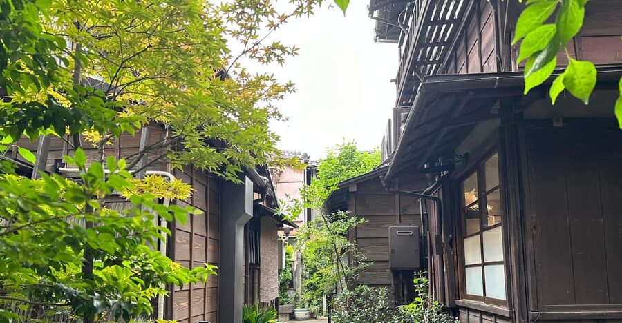 Tokyo:Stroll in Old traditional culture towns~Yanaka & Nezu - Key points to know before booking