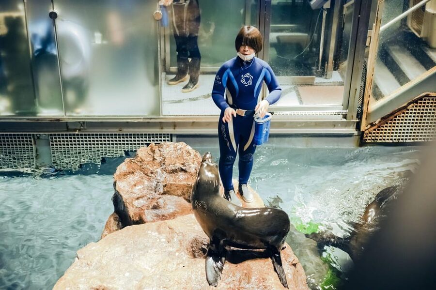Tokyo: Sumida Aquarium Entry Ticket - Is the $17 ticket good value?