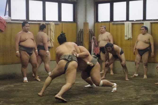 Tokyo Sumo Morning Practice Tour at Stable - Why watching practice beats a staged sumo show