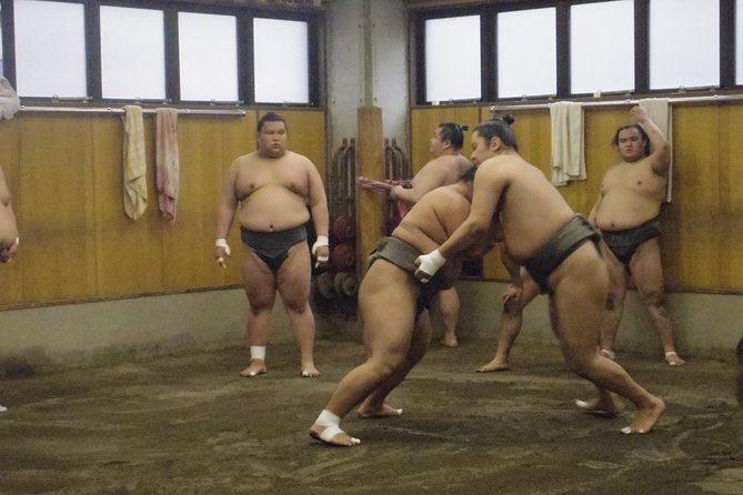Tokyo Sumo Morning Practice Tour at Stable - What the 90-minute practice really looks like