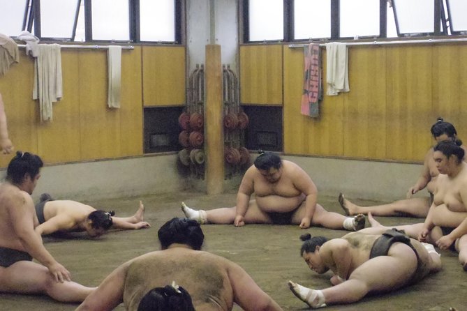Tokyo Sumo Morning Practice Tour at Stable - The guide’s commentary and the audio question