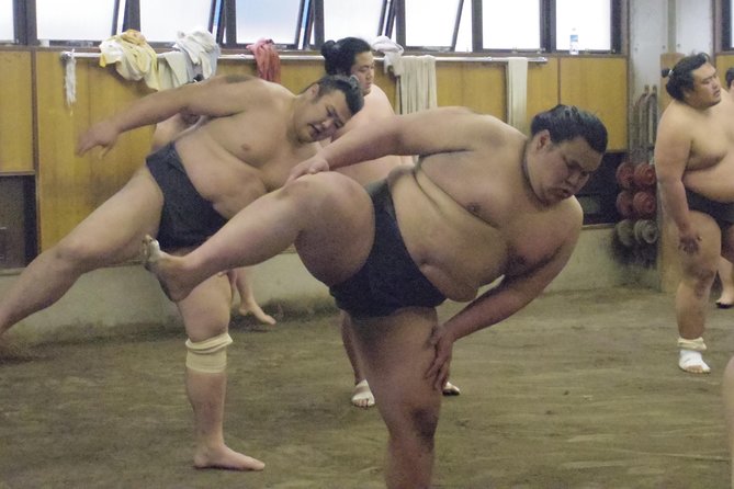 Tokyo Sumo Morning Practice Tour at Stable - The six Grand Tournaments and how the season works