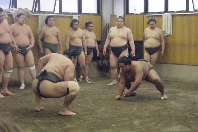 Tokyo Sumo Morning Practice Tour at Stable - Photos after practice, with important limits