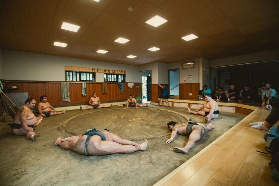 Tokyo: Sumo Morning Practice Tour at Sumida City - My recommendation: book it for access, not spectacle