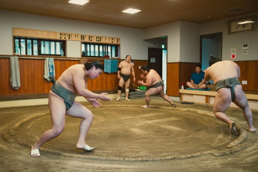 Tokyo: Sumo Morning Practice Tour at Sumida City - The $116 price and what you receive