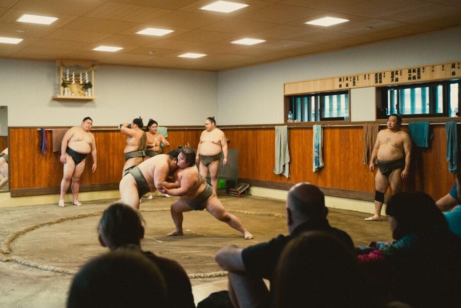 Tokyo: Sumo Morning Practice Tour at Sumida City - Who should book this sumo experience?