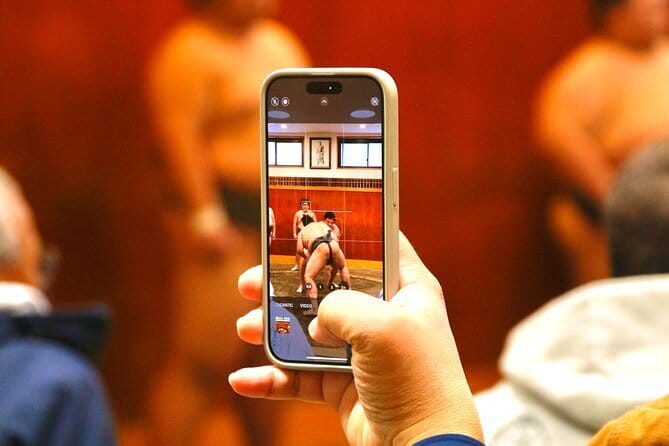 Tokyo Sumo Morning Practice: Viewing & Exclusive Interaction - Why watching practice beats a staged sumo show