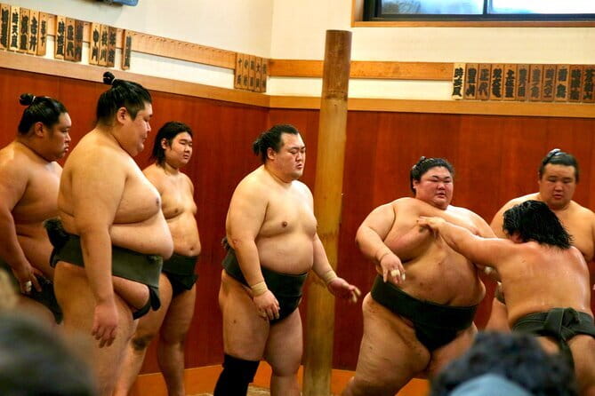 Tokyo Sumo Morning Practice: Viewing & Exclusive Interaction - Inside the stable: close, quiet, and physical
