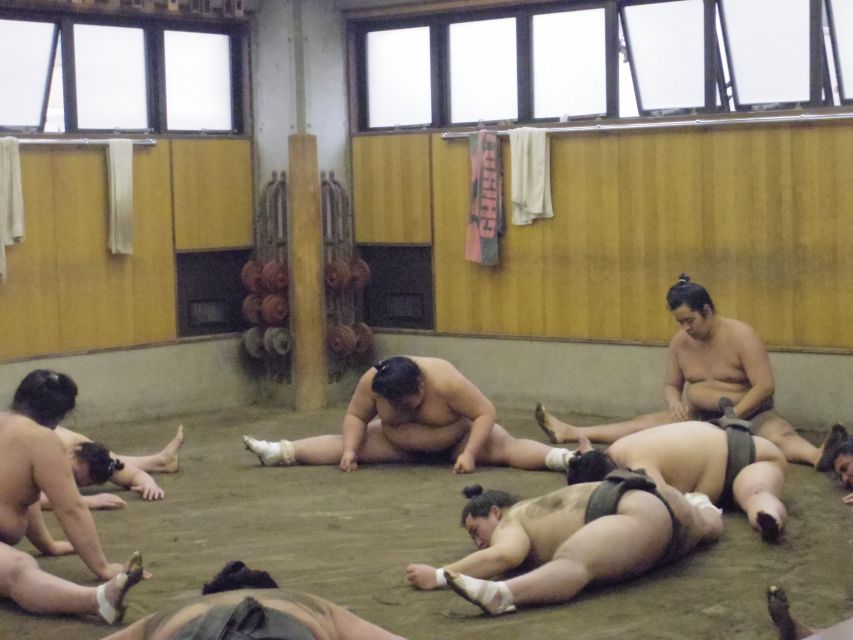 Tokyo: Sumo Morning Practice Viewing Tour - Why a sumo stable is more special than a stadium seat