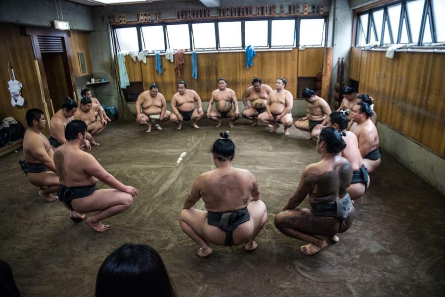 Tokyo: Sumo Morning Practice Viewing Tour - Guides who make the silence useful