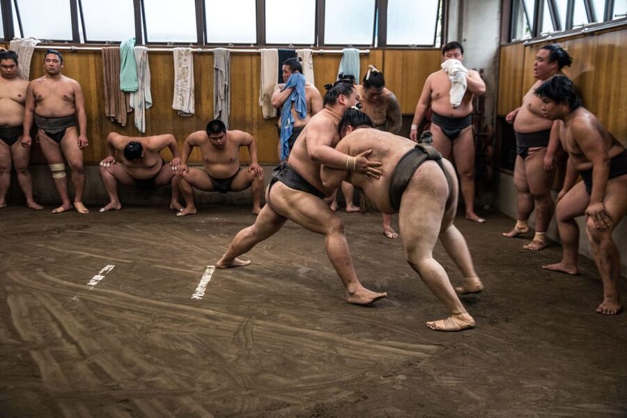 Tokyo: Sumo Morning Practice Viewing Tour - The possibility of meeting wrestlers afterward