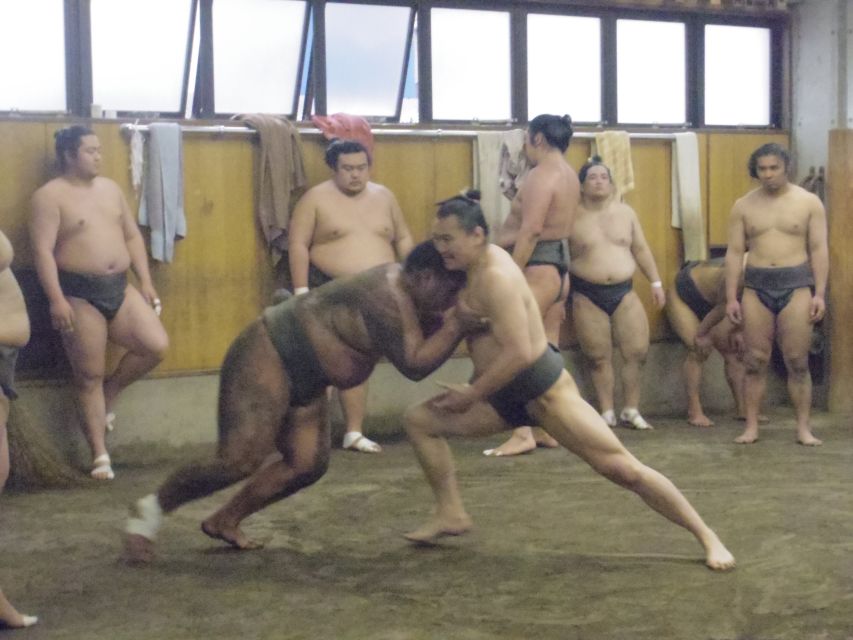Tokyo: Sumo Morning Practice Viewing Tour - What you will learn about sumo