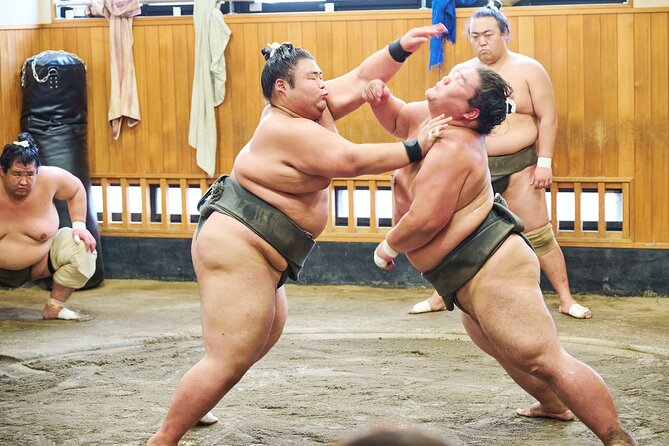 Tokyo: Sumo Morning Practice Viewing Tour at a Real Stable - What makes this Tokyo sumo visit different